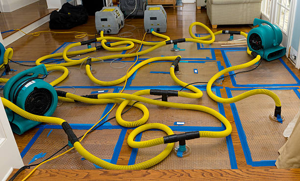 Professional Emergency Water Removal technician working in Millington, TN